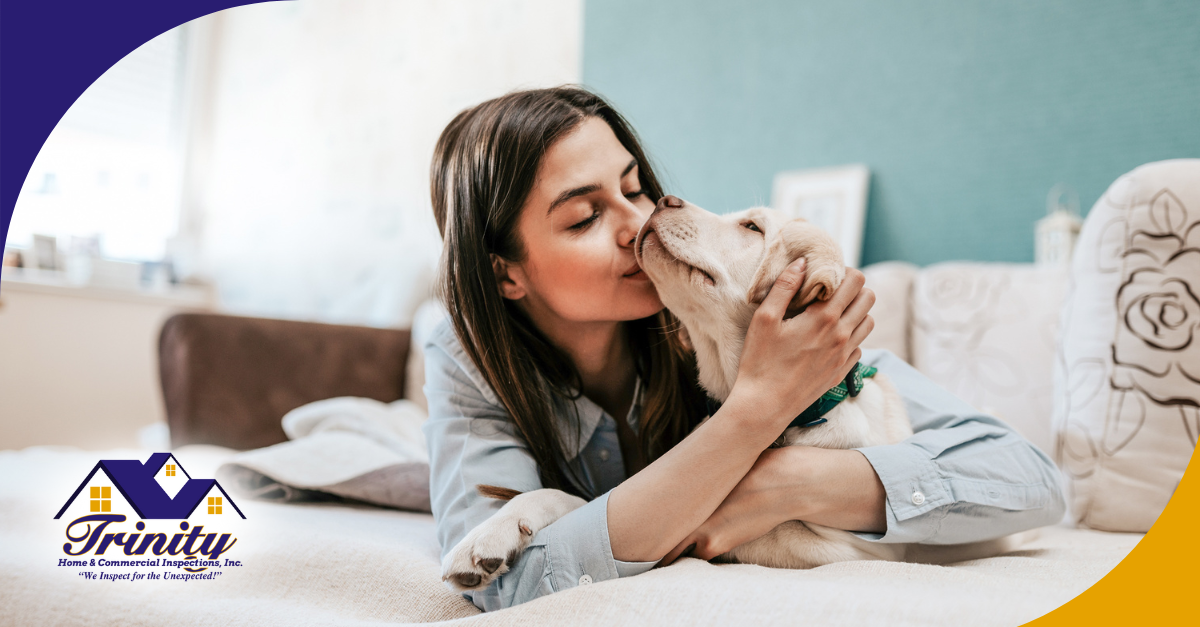 Woman kissing a puppy while lying on a couch.