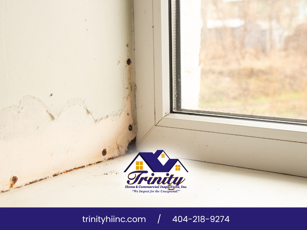 Mold damage near window corner.